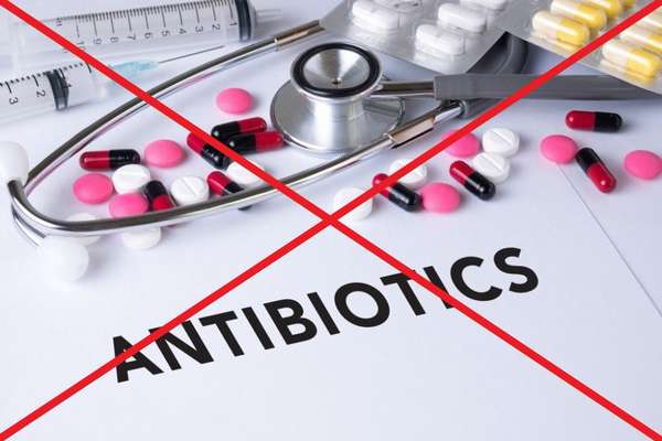 запрет на антибиотики